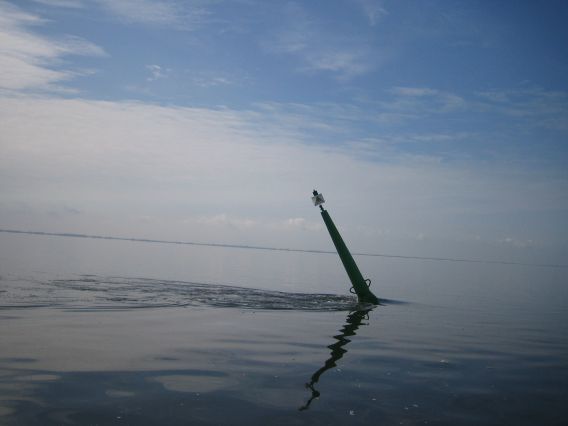 Current on a buoy in Zuiderspruit Current on a buoy in Zuiderspruit